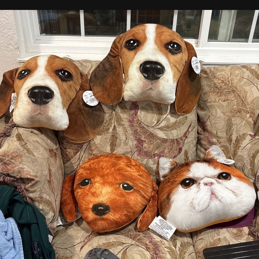 Brown Dog Bedding and Blanket for Ultimate Comfort